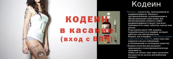 прущие грибы Гусев