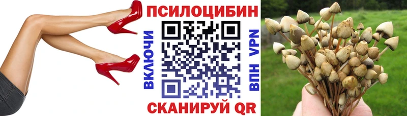 Галлюциногенные грибы мицелий  купить   Медынь 